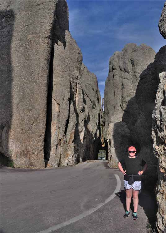 Needles Highway